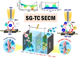 Graphical abstract: Real-time screening of NixBy bifunctional electrocatalysts for overall NH3 synthesis via SG-TC SECM