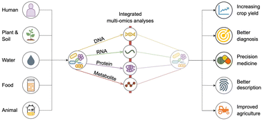 Graphical abstract: Integrated multi-omics analyses of microbial communities: a review of the current state and future directions