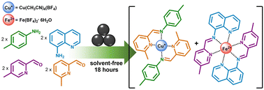 Graphical abstract: Dynamic mechanochemistry: accelerated self-sorting of two imine-based metal complexes under solvent-free mechanochemical conditions