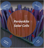 Graphical abstract: A comprehensive review of the current progresses and material advances in perovskite solar cells
