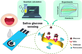 Graphical abstract: Dipole moment as the underlying mechanism for enhancing the immobilization of glucose oxidase by ferrocene-chitosan for superior specificity non-invasive glucose sensing