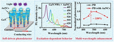 Graphical abstract: Engineering GaN/AuNC core–shell nanowire heterojunctions by gold nanoclusters with excitation-dependent behavior for enhancing the responsivity and stability of self-driven photodetectors