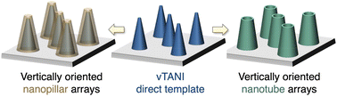 Graphical abstract: A new and versatile template towards vertically oriented nanopillars and nanotubes