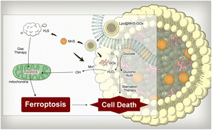 Graphical abstract: Liposome-coated nanoparticle triggers prostate cancer ferroptosis through synergetic chemodynamic-gas therapy