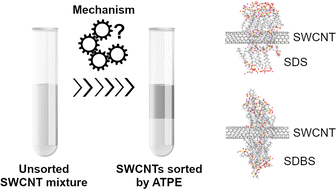 Graphical abstract: Understanding the partitioning behavior of single-walled carbon nanotubes using an aqueous two-phase extraction system composed of non-ionic surfactants and polymers