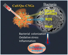 Graphical abstract: NIR-activated quercetin-based nanogels embedded with CuS nanoclusters for the treatment of drug-resistant biofilms and accelerated chronic wound healing