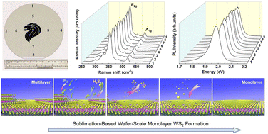 Graphical abstract: Sublimation-based wafer-scale monolayer WS2 formation via self-limited thinning of few-layer WS2