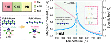 Graphical abstract: Enriching 2D transition metal borides via MB XMenes (M = Fe, Co, Ir): Strong correlation and magnetism