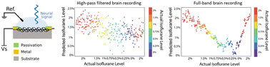 Graphical abstract: Chronic full-band recordings with graphene microtransistors as neural interfaces for discrimination of brain states