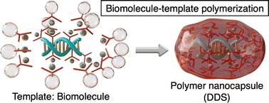 Graphical abstract: Sub-100 nm carriers by template polymerization for drug delivery applications