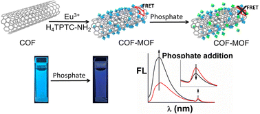 Graphical abstract: Rational design of COF–MOF composites for ratiometric fluorescence detection of phosphate