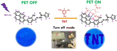 Graphical abstract: A novel pyrenyl-furan hydrazone on paper-based device for the selective detection of trinitrotoluene