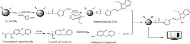 Graphical abstract: Fluorometric assay of cyanophoric pyrethroids based on benzothiazole modified carbon quantum dots