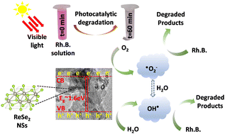 Graphical abstract: Two-dimensional ReSe2 nanosheets as a high-performance photocatalyst