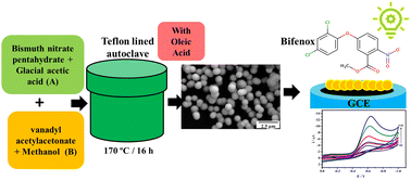 Graphical abstract: Size and surface-engineered BiVO4 catalytic smooth spheres for efficient electrochemical detection of bifenox herbicide