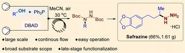 Graphical abstract: A practical flow synthesis of hydrazine derivatives from alcohols
