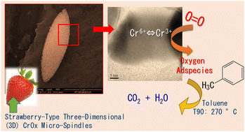 Graphical abstract: Tailoring oxygen vacancies and active surface oxygen species in CrOx hierarchical strawberry-type three-dimensional (3D) micro-spindle catalysts for total catalytic oxidation of VOCs