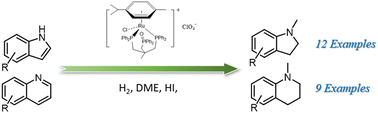 Graphical abstract: Ruthenium/HI-catalyzed direct hydromethylation of indoles and quinolines in DME