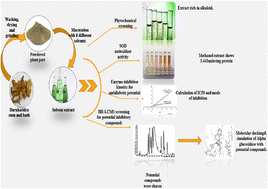 Graphical abstract: HRLCMS based metabolite profiling of antioxidant and hypoglycaemic properties of Daruharidra (Berberis aristata): an in vitro and molecular modelling approach