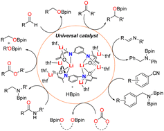 Graphical abstract: A bis-dianionic β-ketoiminato octalithium complex as a universal catalyst for hydroboration with broad scope