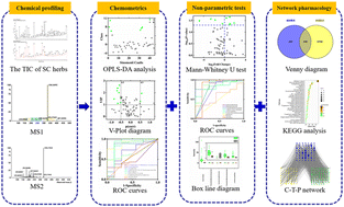 Graphical abstract: A comprehensive strategy for quality marker discovery using chemical profiling combined with chemometrics, machine learning and network pharmacology analysis: taking Sinomenii Caulis as an example