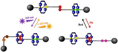 Graphical abstract: A light- and redox-switchable tristable [3]rotaxane with orthogonal controllable shuttling of different wheels