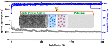 Graphical abstract: A high performance and long-cycling bi-functional carbon electrode derived from Phyllanthus emblica (amla) for potassium ion batteries and supercapacitors