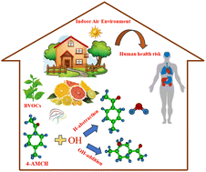 Graphical abstract: Mechanistic and kinetic study of limona ketone oxidation initiated by hydroxyl radical: impact of indoor air pollution