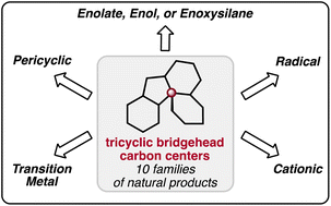 Graphical abstract: Finding activity through rigidity: syntheses of natural products containing tricyclic bridgehead carbon centers