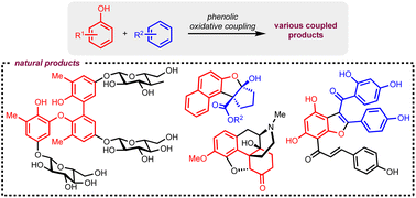 Graphical abstract: Recent advances in oxidative phenol coupling for the total synthesis of natural products