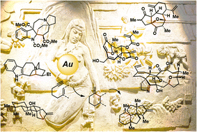 Graphical abstract: Gold-catalyzed cyclization and cycloaddition in natural product synthesis