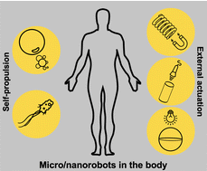 Graphical abstract: In vivo applications of micro/nanorobots