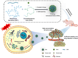 Graphical abstract: Transforming a highly toxic agent DM1 into injectable safe nanomedicines via prodrug self-assembly for the treatment of taxane-resistant cancer