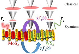 Graphical abstract: Quantum plasmonic two-dimensional WS2–MoS2 heterojunction
