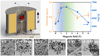 Graphical abstract: Regulating the morphology and structures of wet-chemical synthesized L10-FePtMn nanoparticles by applying magnetic fields