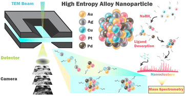 Graphical abstract: Visualizing formation of high entropy alloy nanoparticles with liquid phase transmission electron microscopy