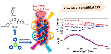 Graphical abstract: Cascade energy transfer boosted near-infrared circularly polarized luminescence of nanofibers from an exclusively achiral system