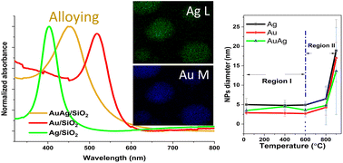 Graphical abstract: Investigating the thermal stability of ultra-small Ag, Au and AuAg alloy nanoparticles embedded in a silica matrix