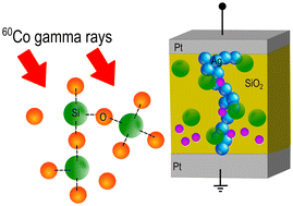 Graphical abstract: Gamma radiation-induced nanodefects in diffusive memristors and artificial neurons