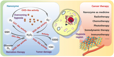 Graphical abstract: Nanozyme: a rising star for cancer therapy
