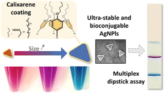 Graphical abstract: Ultra-stable silver nanoplates: efficient and versatile colorimetric reporters for dipstick assays