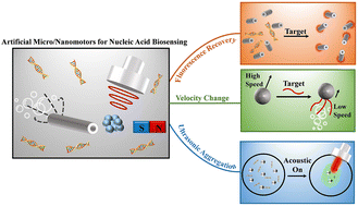 Graphical abstract: Advancements in artificial micro/nanomotors for nucleic acid biosensing: a review of recent progress