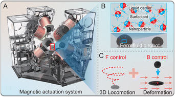 Graphical abstract: Combined three dimensional locomotion and deformation of functional ferrofluidic robots