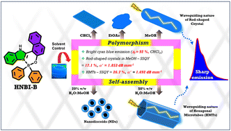 Graphical abstract: Luminescent hexagonal microtubes prepared through water-induced self-assembly of a polymorphic organoboron compound: formation mechanism and waveguide behaviour