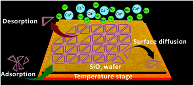 Graphical abstract: Cation-dependent assembly of hexagonal DNA origami lattices on SiO2 surfaces