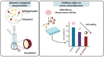 Graphical abstract: Chemical conjugation of aptamer–sphingomyelin nanosystems and their potential as inhibitors of tumour cell proliferation in breast cancer cells