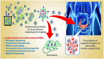 Graphical abstract: Multifunctional GQDs for receptor targeting, drug delivery, and bioimaging in pancreatic cancer