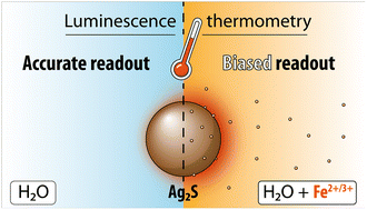 Graphical abstract: Ion-induced bias in Ag2S luminescent nanothermometers
