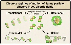 Graphical abstract: Magnetically locked Janus particle clusters with orientation-dependent motion in AC electric fields