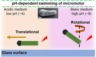 Graphical abstract: pH-Responsive swimming behavior of light-powered rod-shaped micromotors